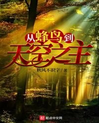 從蜂鳥到天空之主