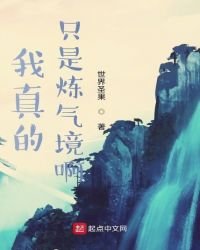 我真的只是煉氣境啊